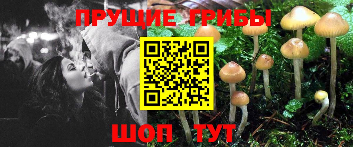 Подольск  Галлюциногенные грибы мицелий  Галлюциногенные грибы GOLDEN TEACHER  Вход с VPN 